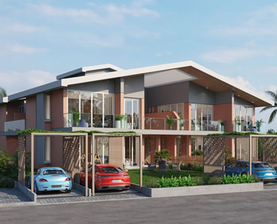 The Nature, Mukaiwadi